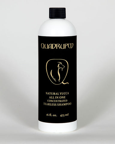 All In One Yucca Shampoo & Conditioner