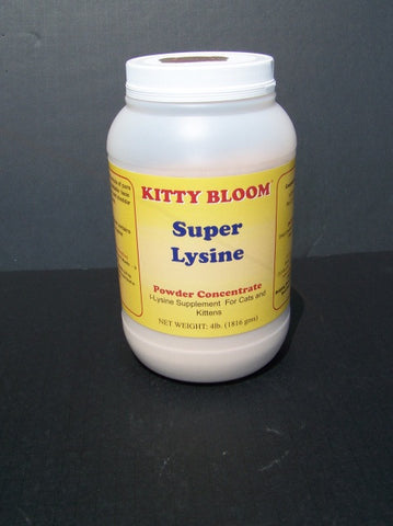 Kitty Bloom Super Lysine