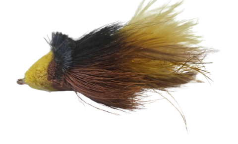 Dahlberg Diver