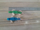 Fisherman's Lizard - 8 Colors