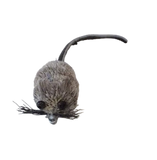 Fisherman's Fly Mini Mouse bassmm-14